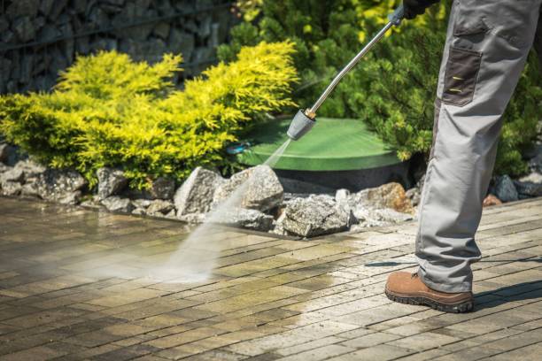 Best Sidewalk and Walkway Cleaning  in Shawsville, VA